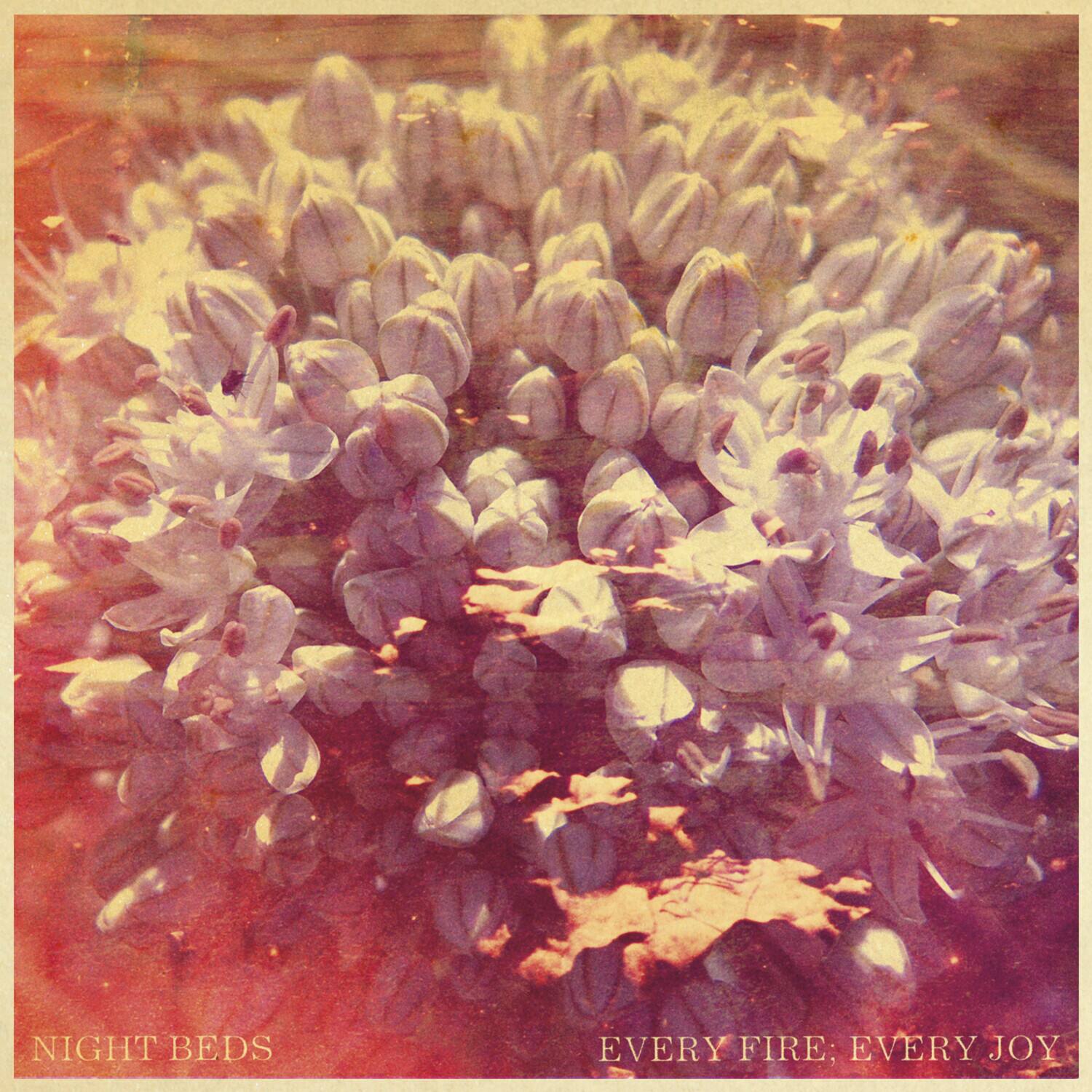 NIGHT BEDS  
EVERY FIRE; EVERY JOY