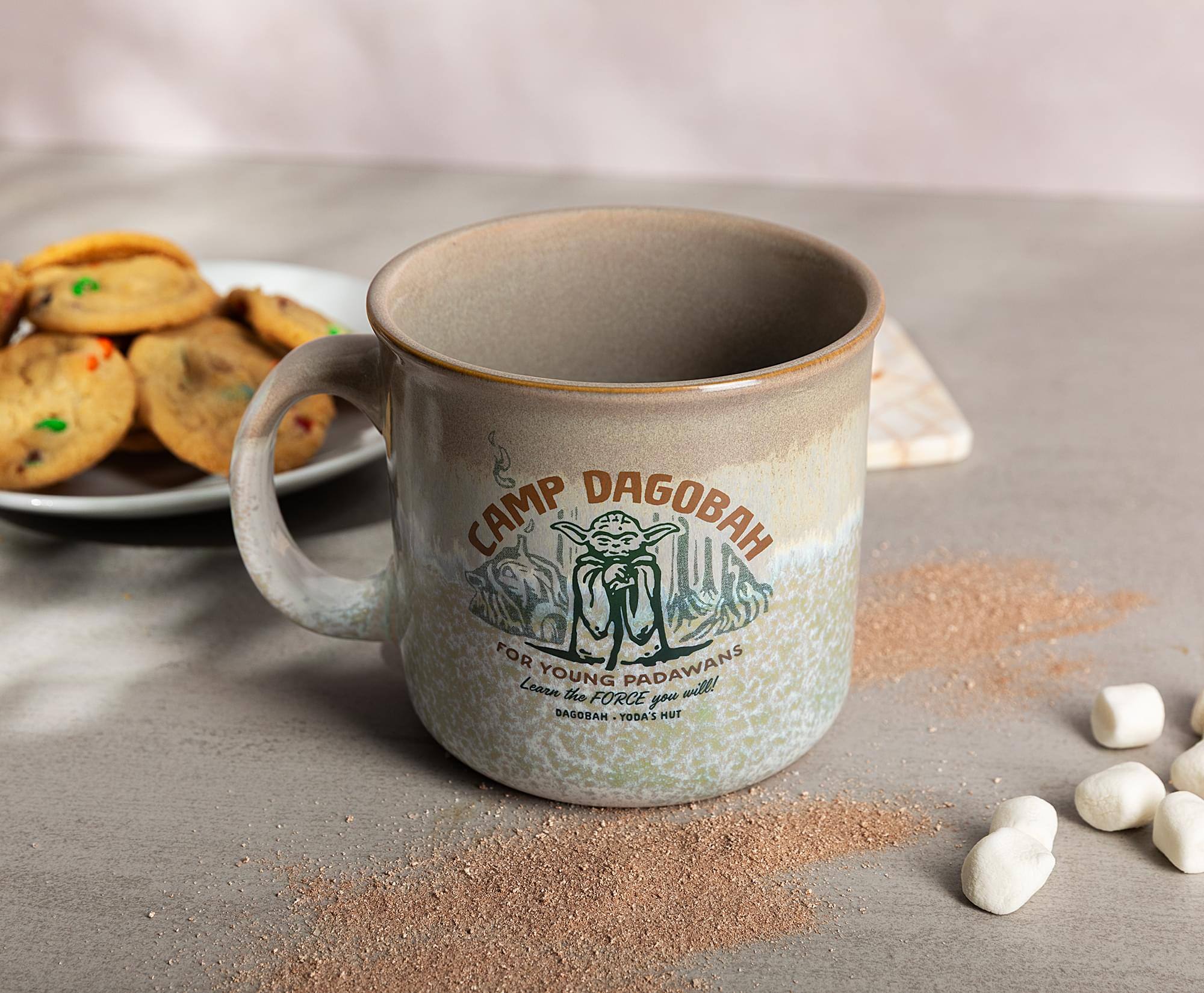 CAMP DAGOBARH  
FOR YOUNG PADAWANS  
Learn the FORCE you will!  
DAGOBARH - YODA'S HUT