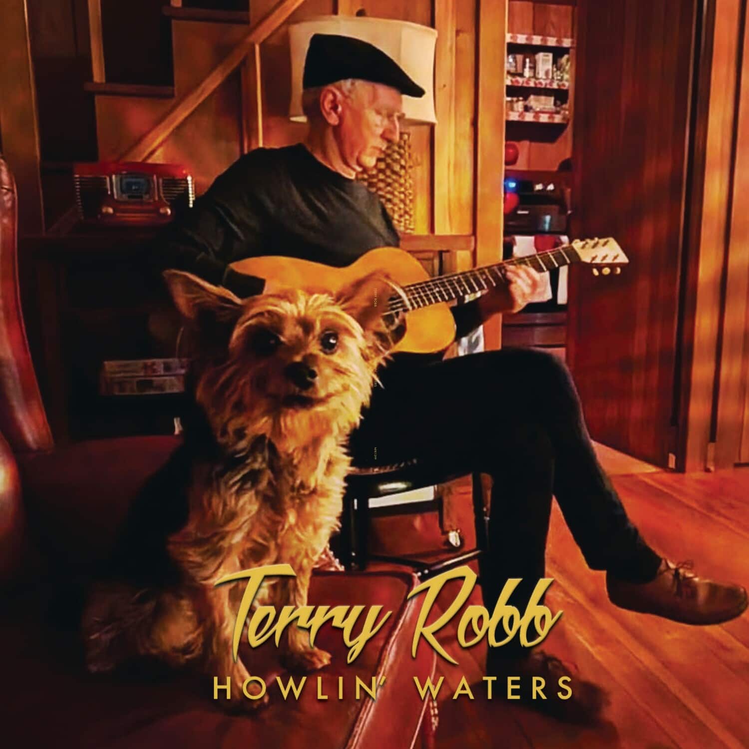 Terry Robb - Howlin' Waters   - COMPACT DISCS [CD] price history on PriceWatchPro