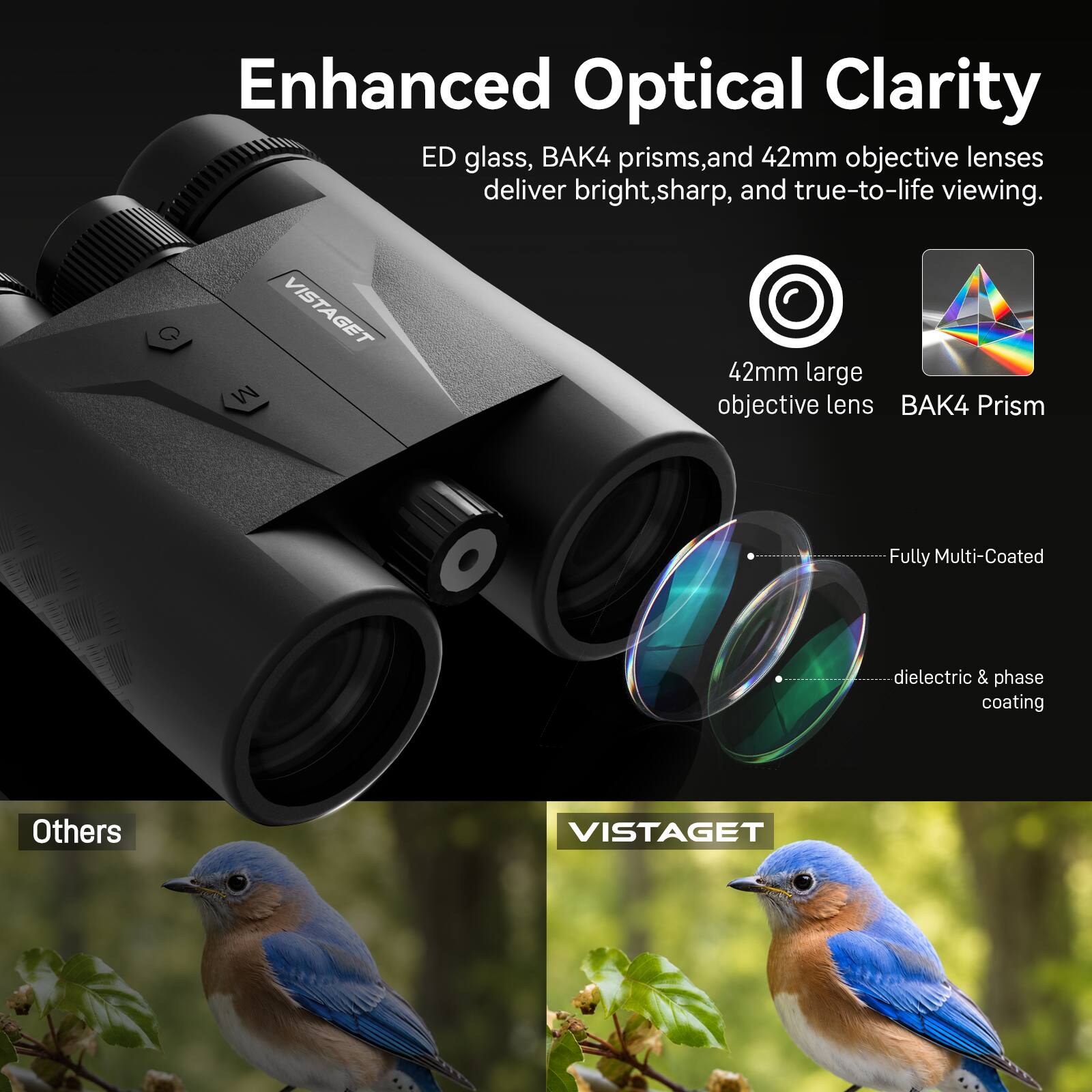 Enhanced Optical Clarity  
ED glass, BAK4 prisms, and 42mm objective lenses deliver bright, sharp, and true-to-life viewing.  

Q VISTAGET M  
42mm large objective lens  
BAK4 Prism  
Fully Multi-Coated  
dielectric & phase coating  

Others  
VISTAGET