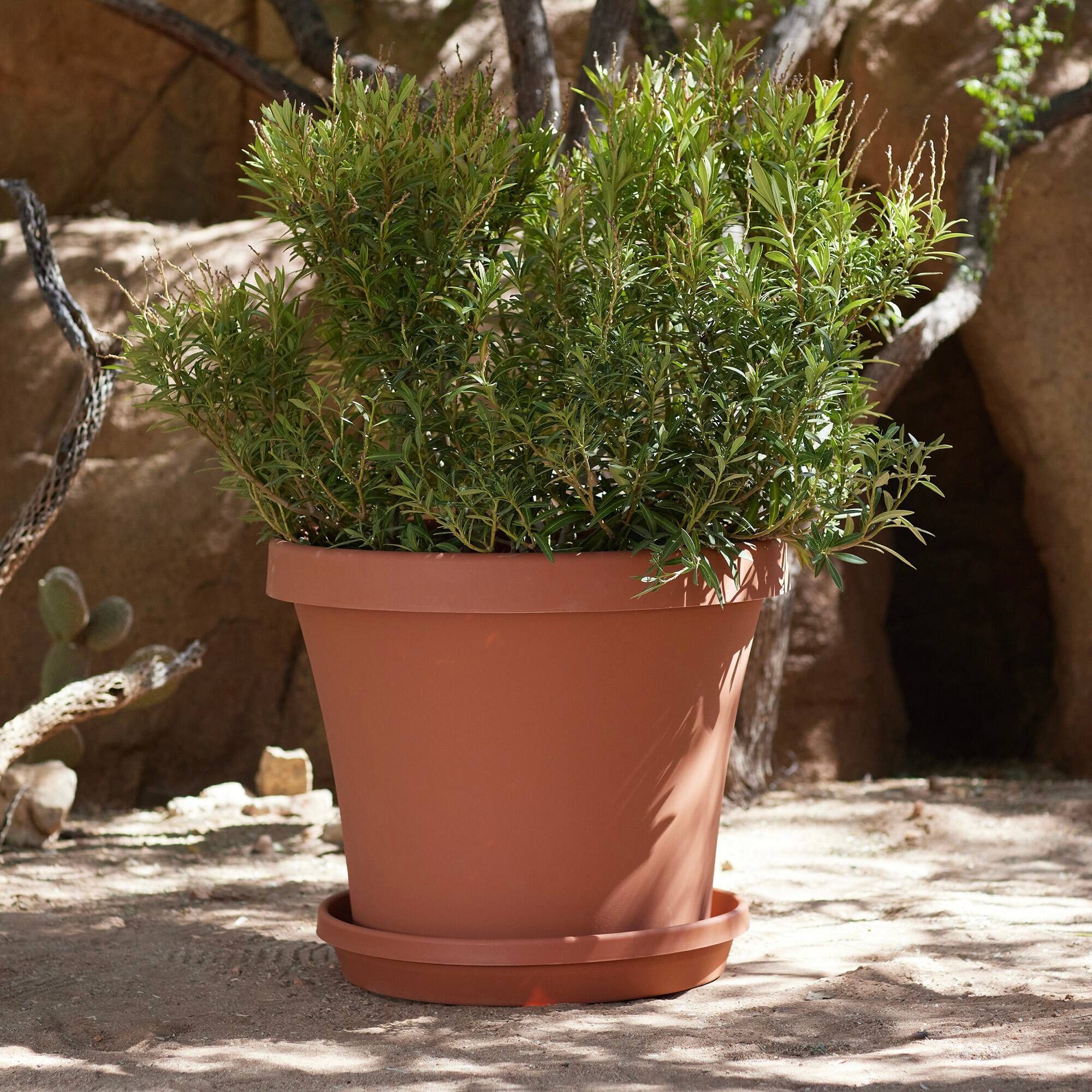 Alt View 3. Bloem - Terra Cotta 24" - Terra Saucer Tray.