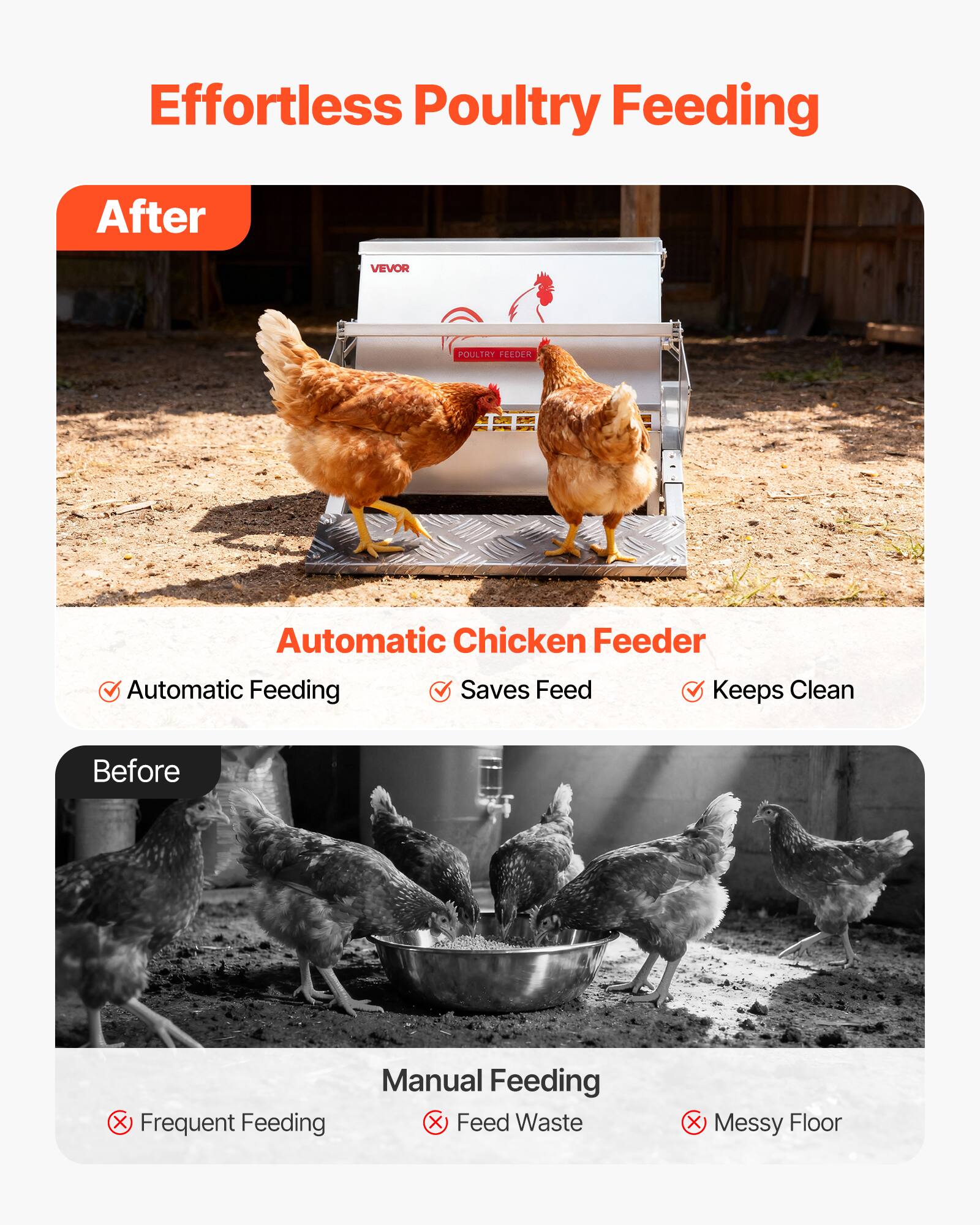 Effortless Poultry Feeding

After

Automatic Chicken Feeder
- Automatic Feeding
- Saves Feed
- Keeps Clean

Before

Manual Feeding
- Frequent Feeding
- Feed Waste
- Messy Floor