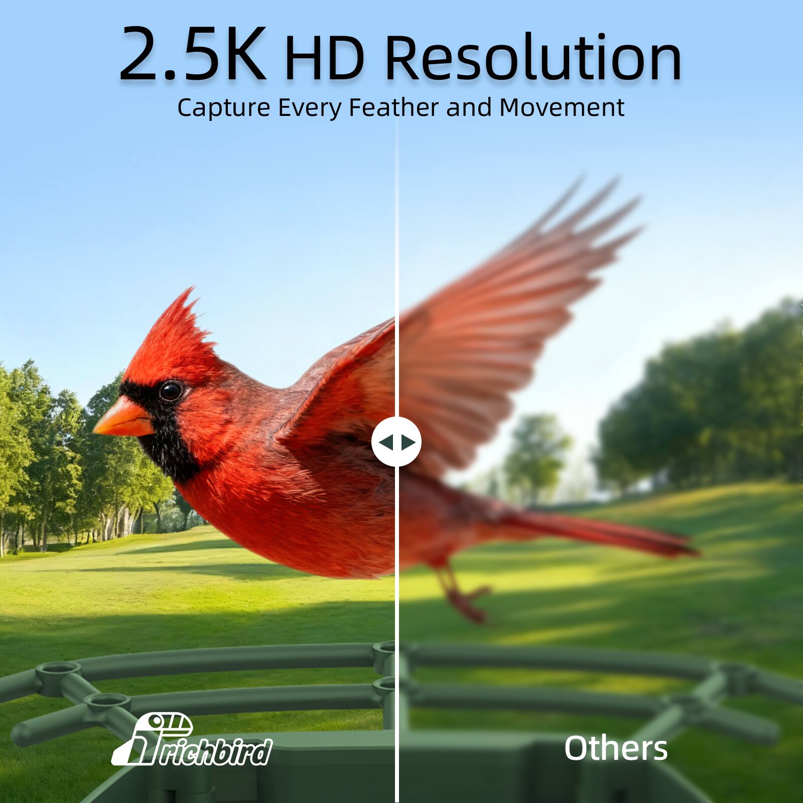2.5K HD Resolution  
Capture Every Feather and Movement  

Others