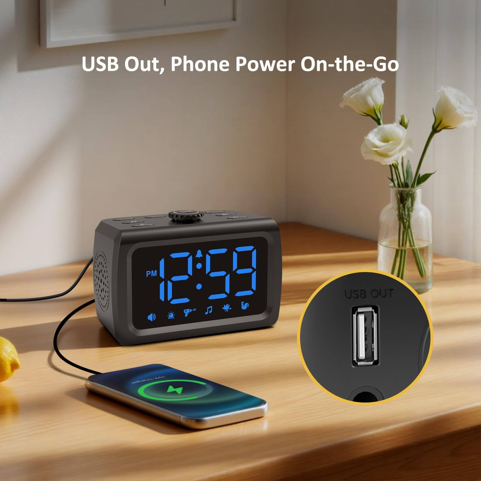 USB Out, Phone Power On-the-Go

USB OUT