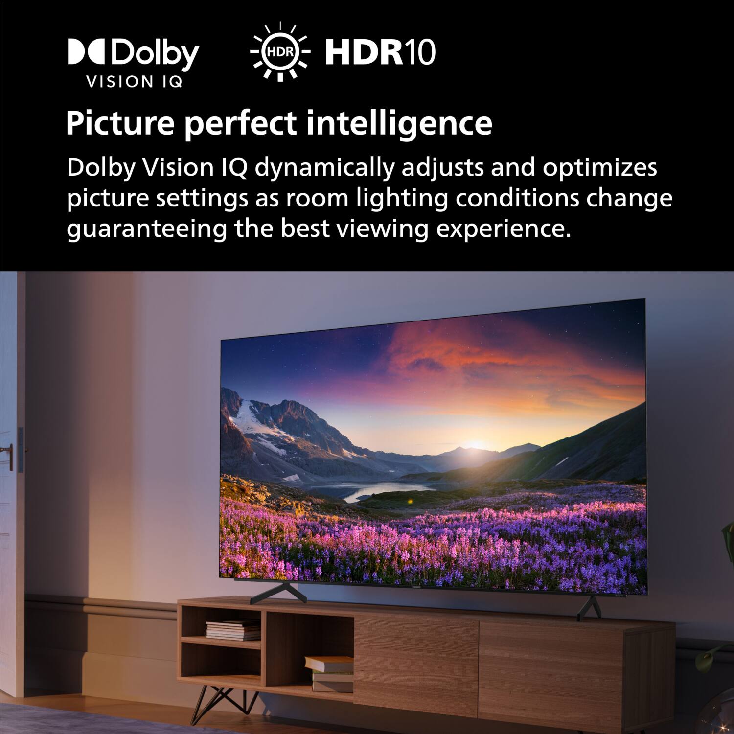 Dolby Vision IQ  
HDR10  

Picture perfect intelligence  

Dolby Vision IQ dynamically adjusts and optimizes picture settings as room lighting conditions change, guaranteeing the best viewing experience.