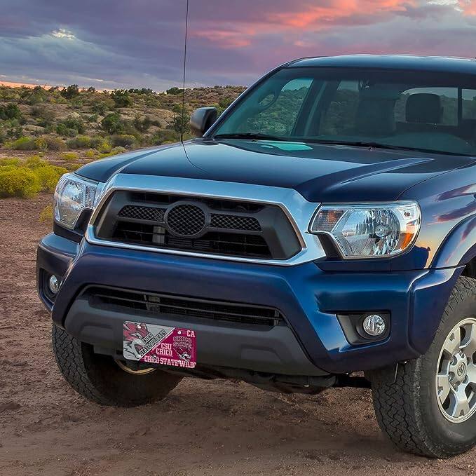 CSU CHICO  
CHICO STATEWILD