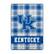 Front. Pegasus - Kentucky Wildcats 66" x 95" Oversized Plaid FAN-mily Ultra Cozy Blanket - Multicolor.