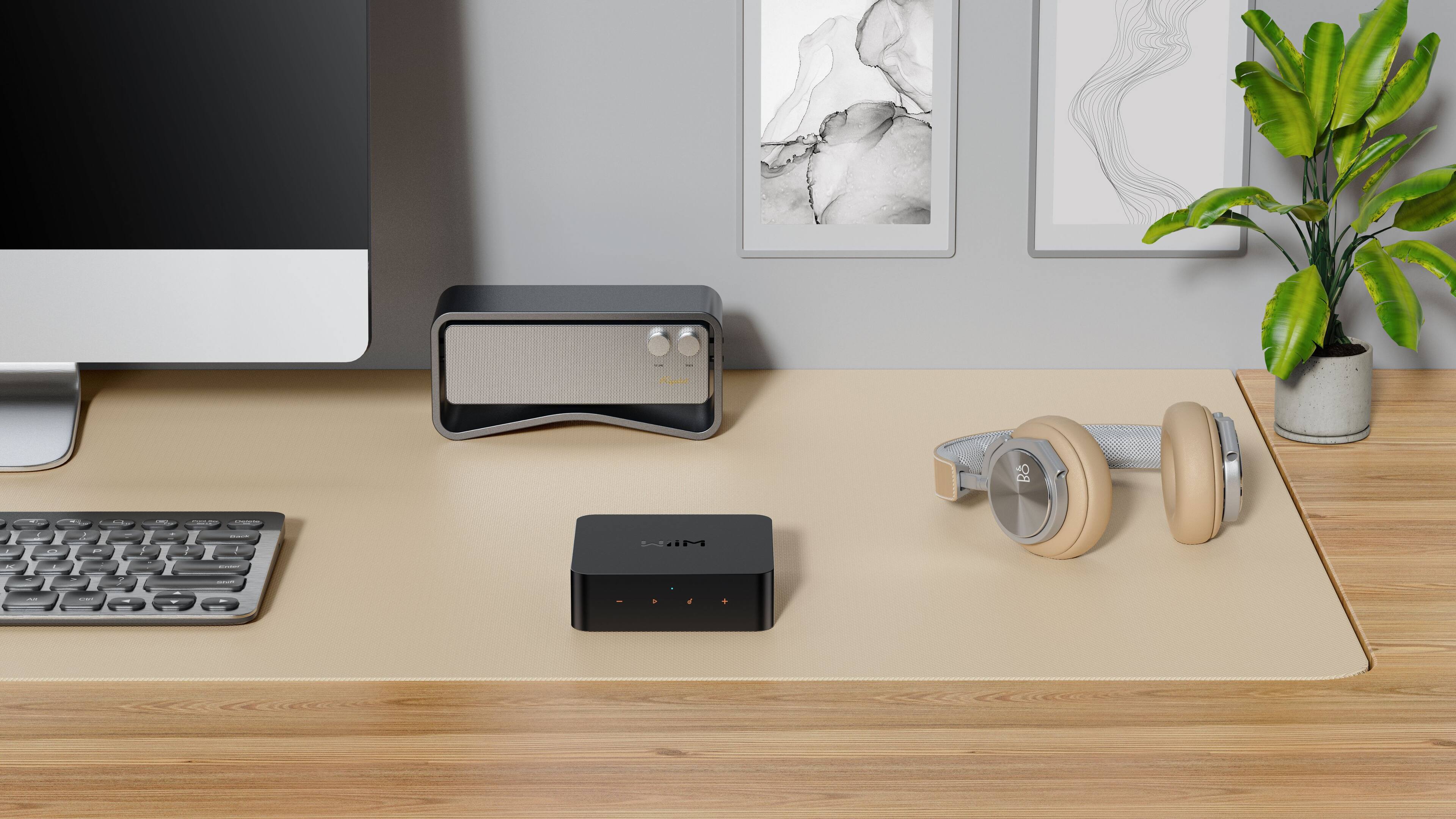 Alt View 4. WiiM - Pro Wireless Audio Streamer - Black.