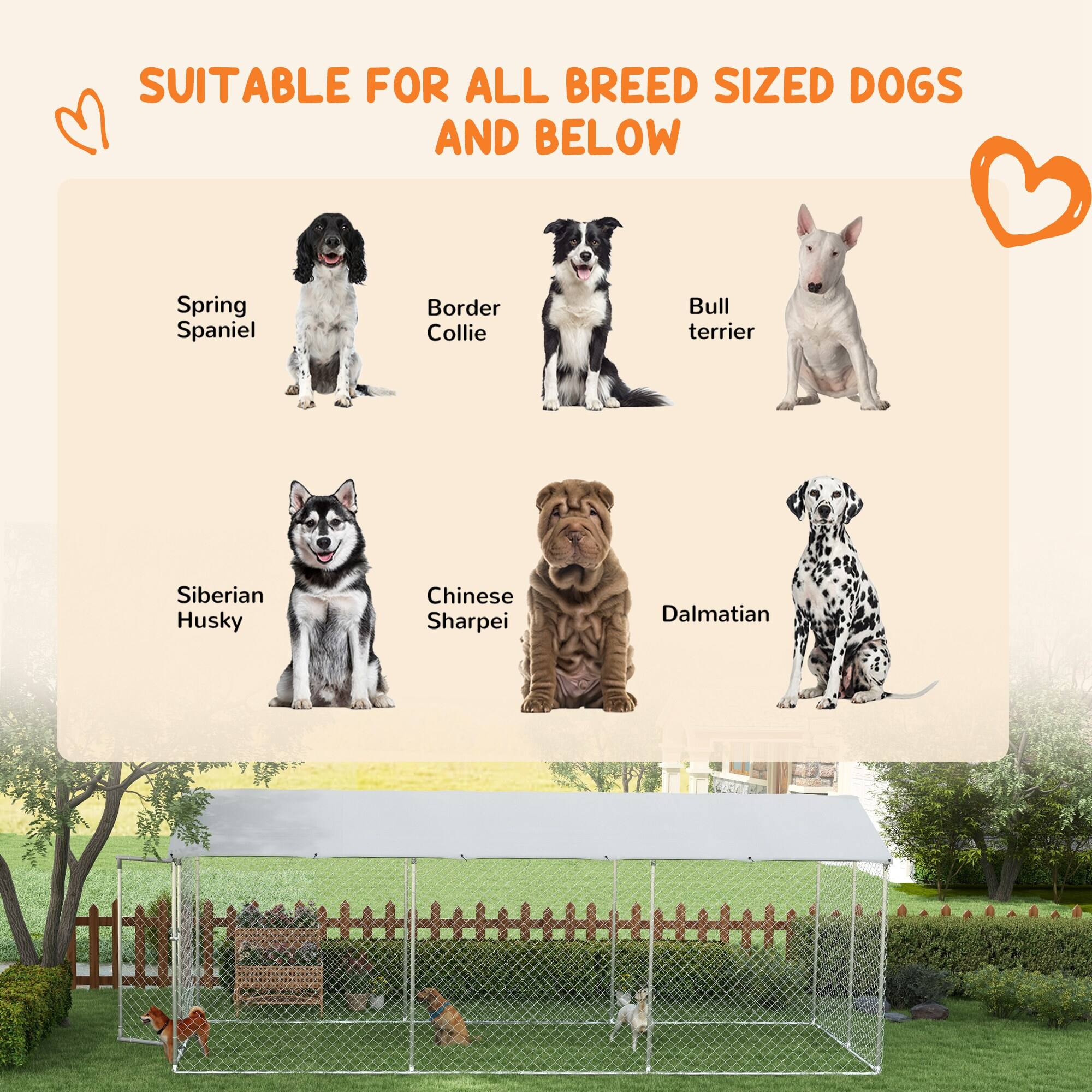 SUITABLE FOR ALL BREED SIZED DOGS AND BELOW

- Spring Spaniel
- Border Collie
- Bull Terrier
- Siberian Husky
- Chinese Sharpei
- Dalmatian
