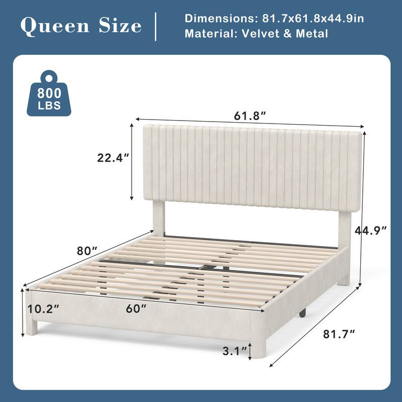 Queen Size  
Dimensions: 81.7x61.8x44.9in  
Material: Velvet & Metal  
800 LBS  

61.8"  
22.4"  
44.9"  
80"  
10.2"  
60"  
3.1"  
81.7"