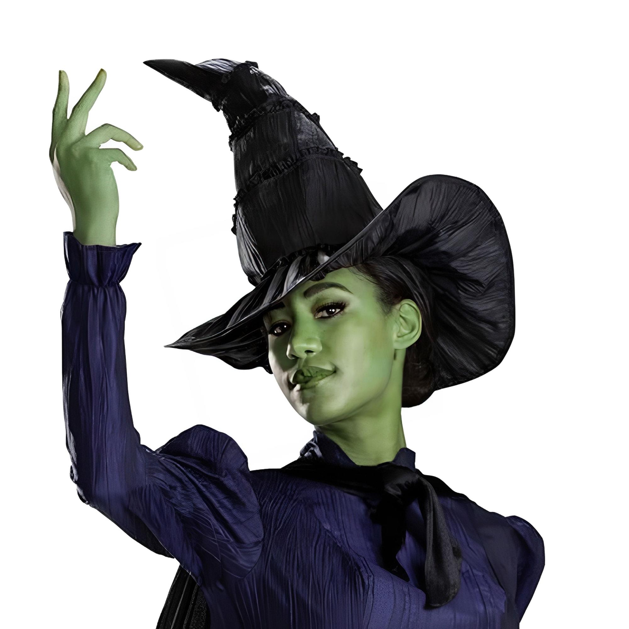 Alt View 10. Disguise - Wicked Elphaba Adult Costume Hat | One Size Fits Most - Black.