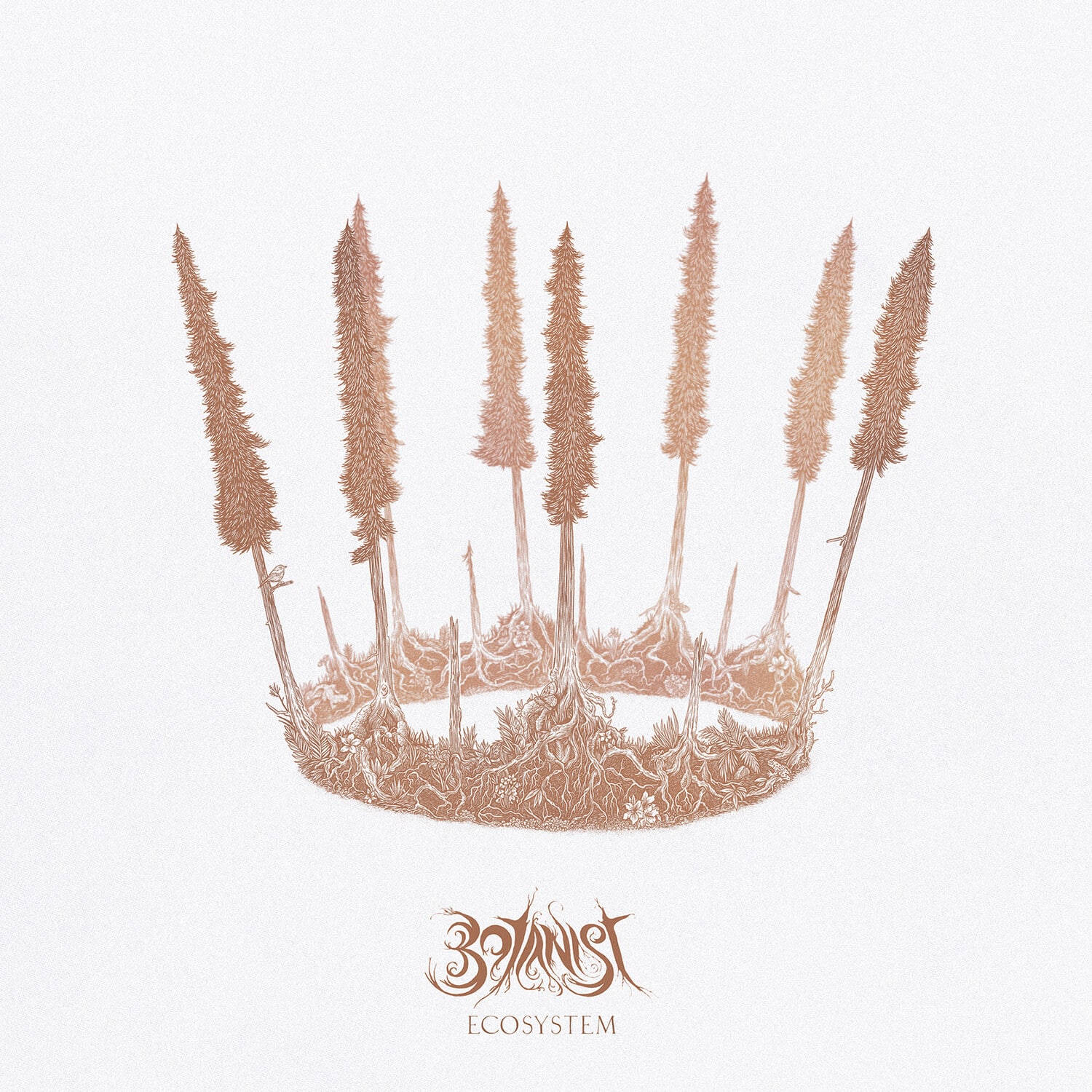 Botanist - Ecosystem   - VINYL LP price history on PriceWatchPro