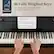 88 Fully Weighted Keys
Velocity sensitive keys capture the feel of an acoustic piano
Highly Responsive