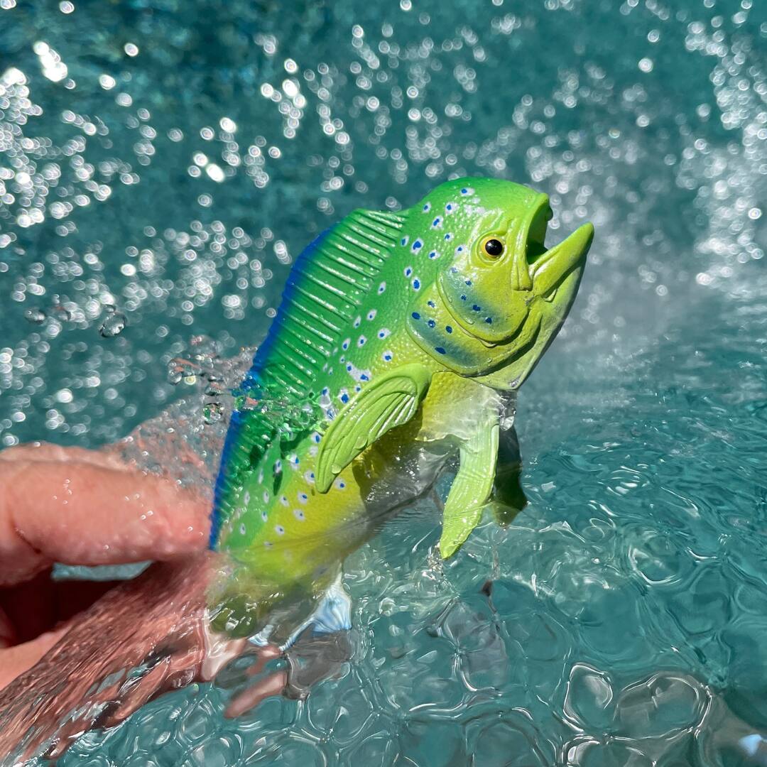 Alt View 3. Safari Ltd. - Mahi-Mahi (Dolphin Fish) Toy Figurine.