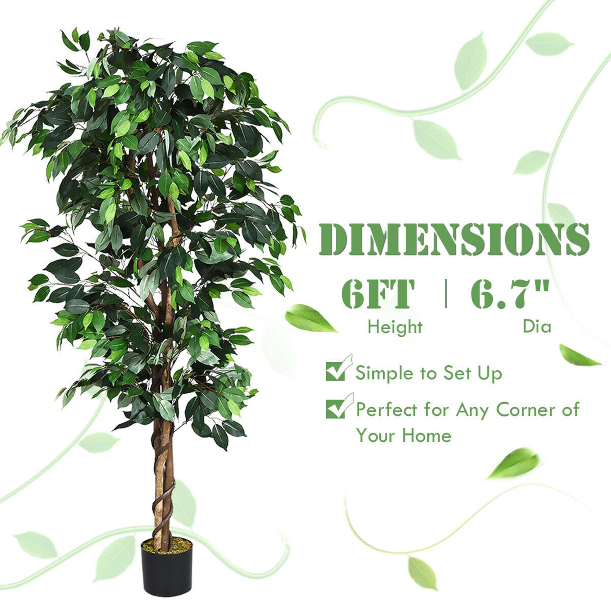 DIMENSIONS  
6FT | 6.7"  
Height | Dia  

✓ Simple to Set Up  
✓ Perfect for Any Corner of Your Home