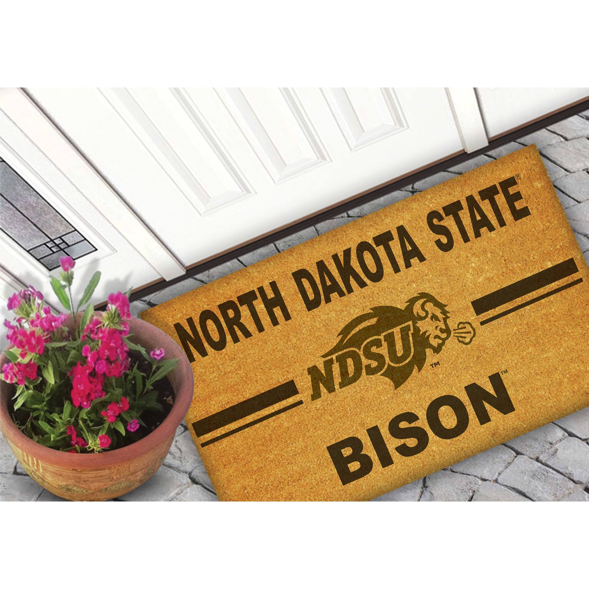 NORTH DAKOTA STATE  
NDSU  
BISON