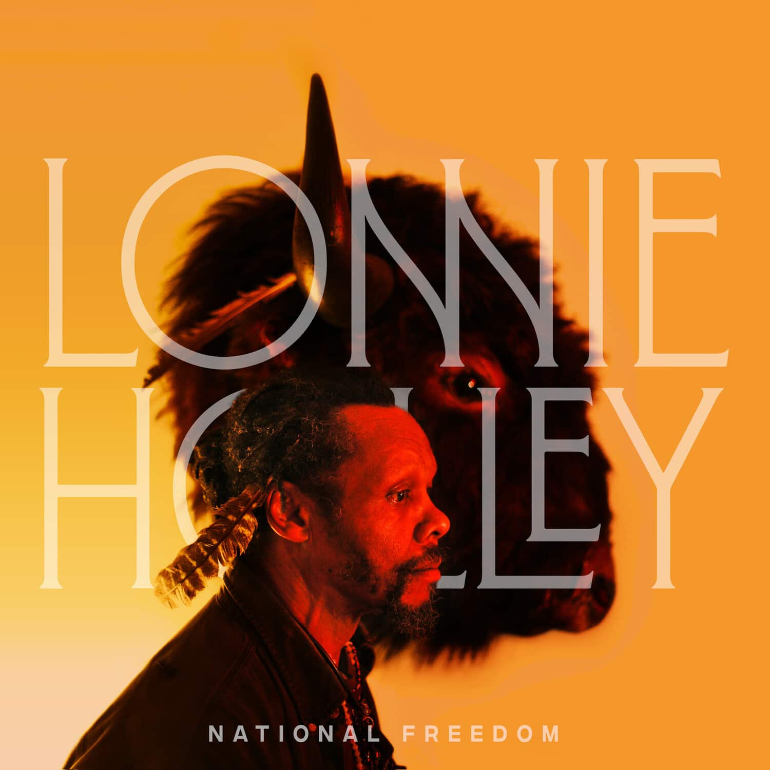 Lonnie Holley - National Freedom  - VINYL LP