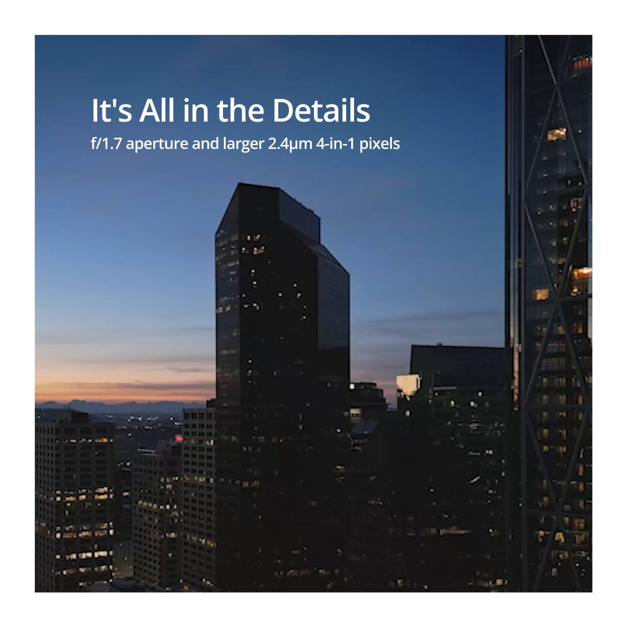 It's All in the Details  
f/1.7 aperture and larger 2.4µm 4-in-1 pixels