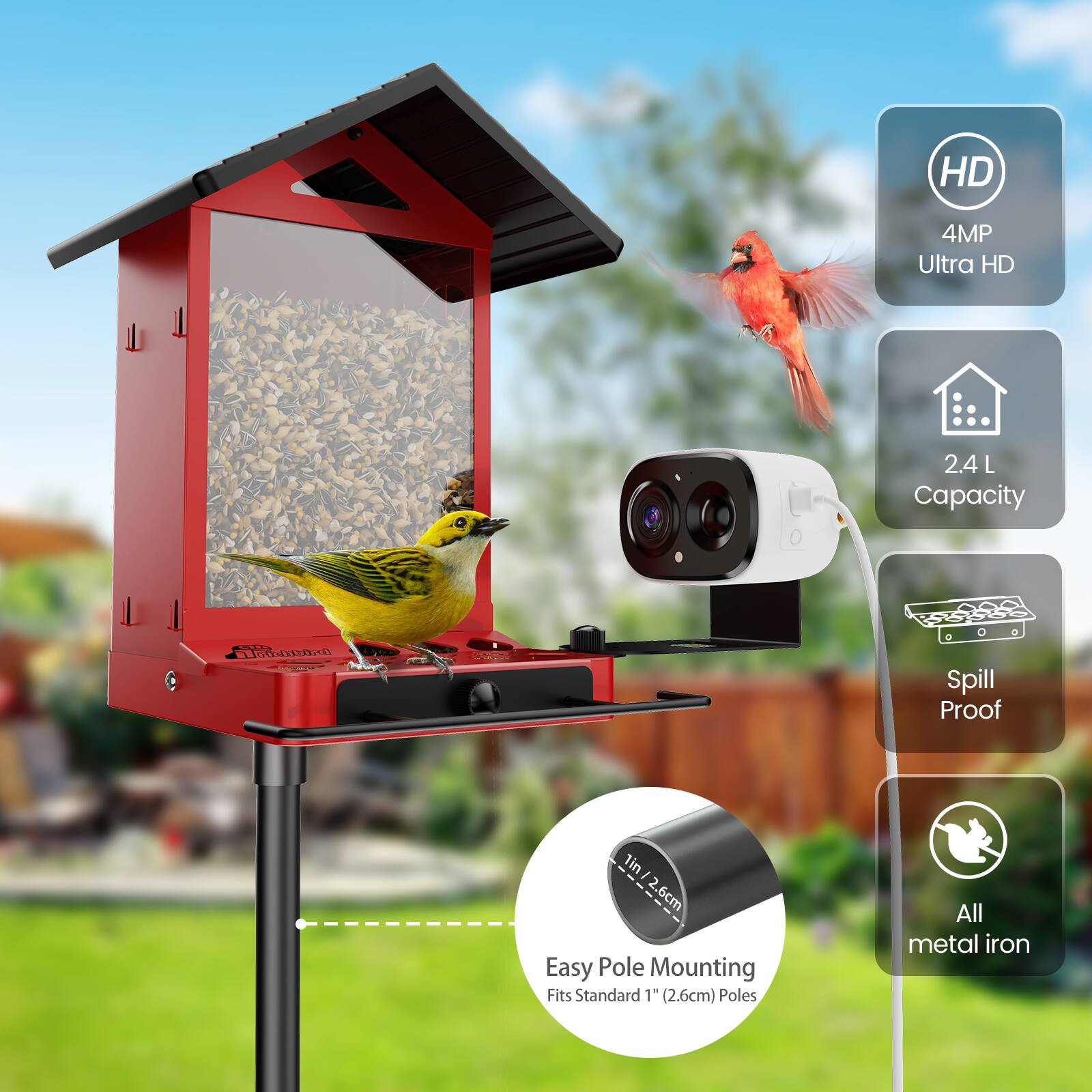 HD 4MP Ultra HD  
2.4 L Capacity  
Spill Proof  
1in / 2.6cm  
Easy Pole Mounting  
Fits Standard 1" (2.6cm) Poles  
All metal iron