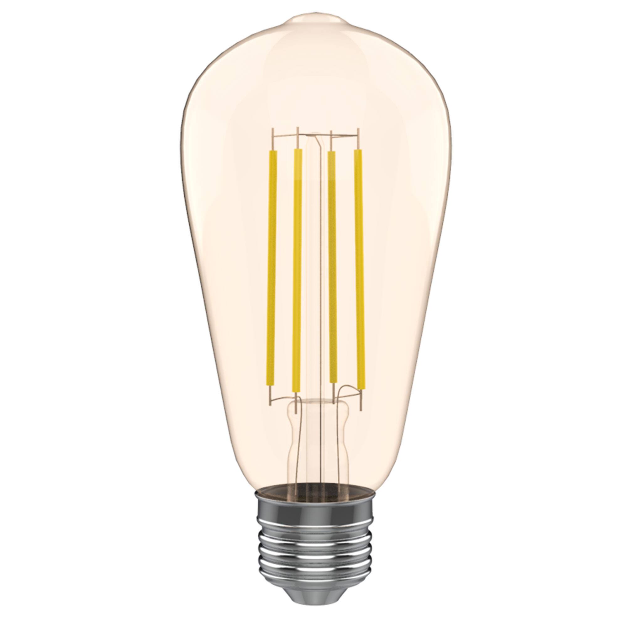 VIRIBRIGHT - ST19 LED Bulb, Filament, Energy Star, Amber – 2200K - Warm White