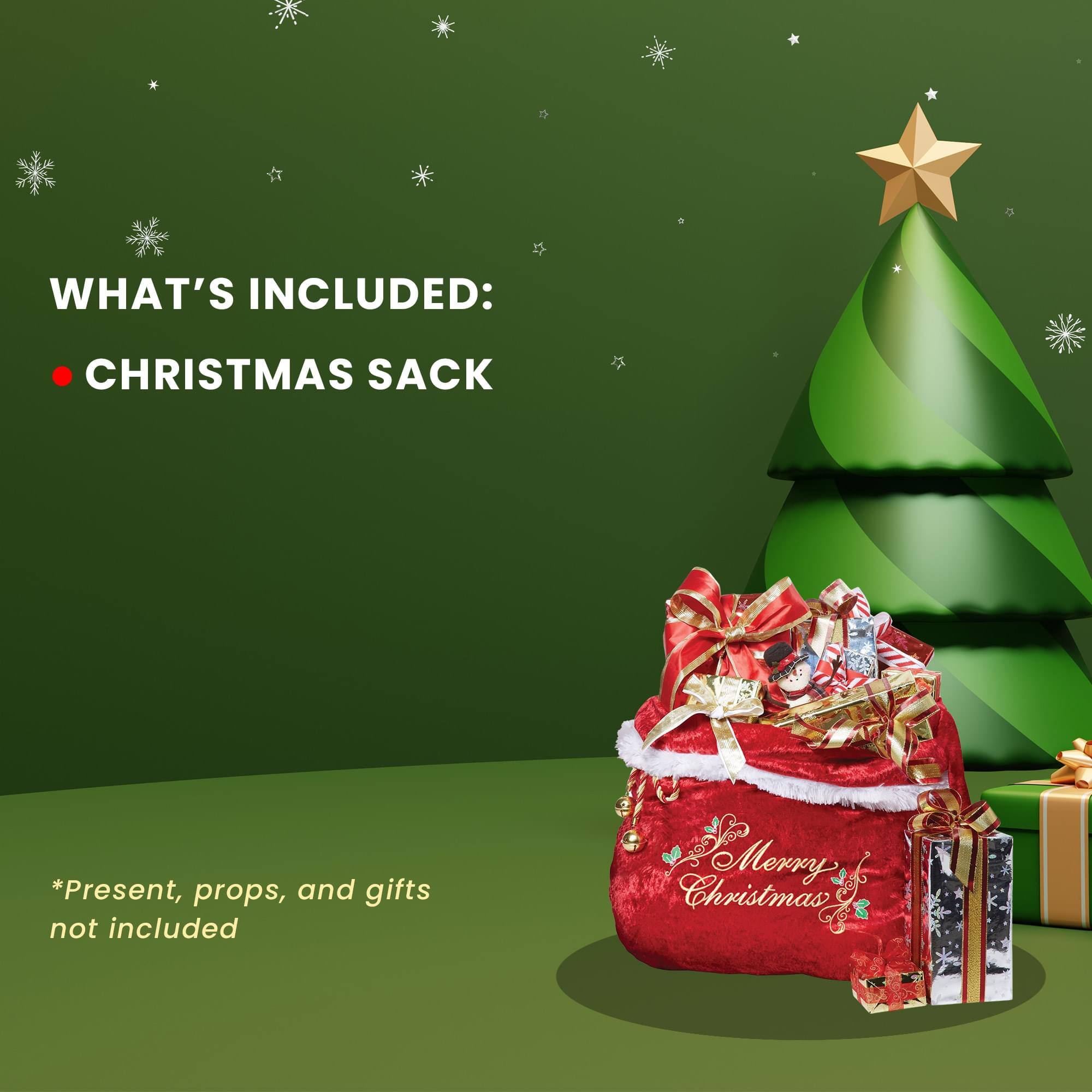 WHAT'S INCLUDED:  
- CHRISTMAS SACK  

*Present, props, and gifts not included  

Merry Christmas