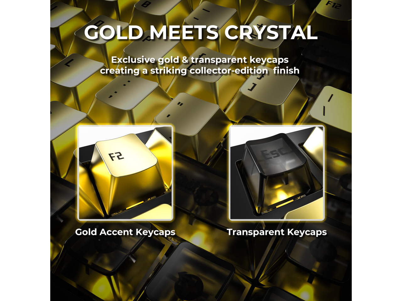 F12  
GOLD MEETS CRYSTAL  
Exclusive gold & transparent keycaps creating a striking collector-edition finish  

F2  
Esc  
Gold Accent Keycaps  
Transparent Keycaps