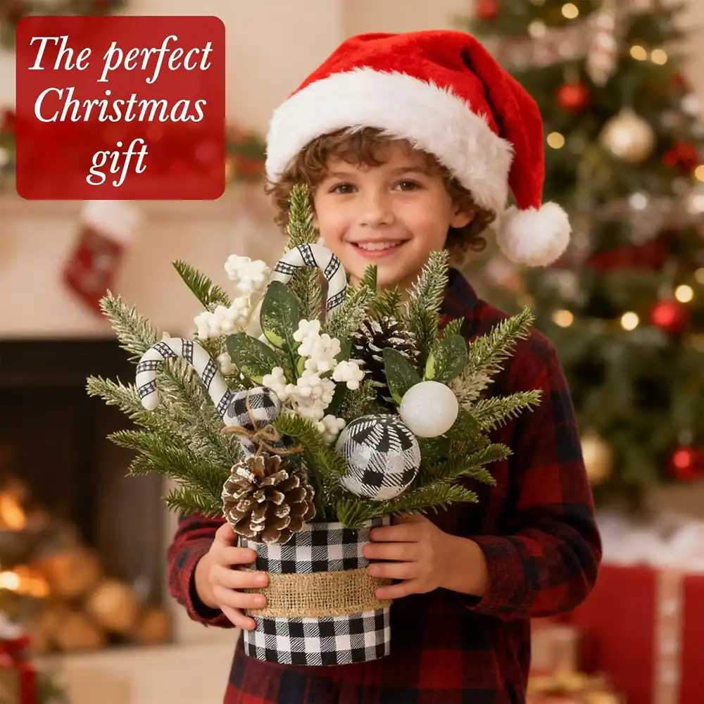 The perfect Christmas gift