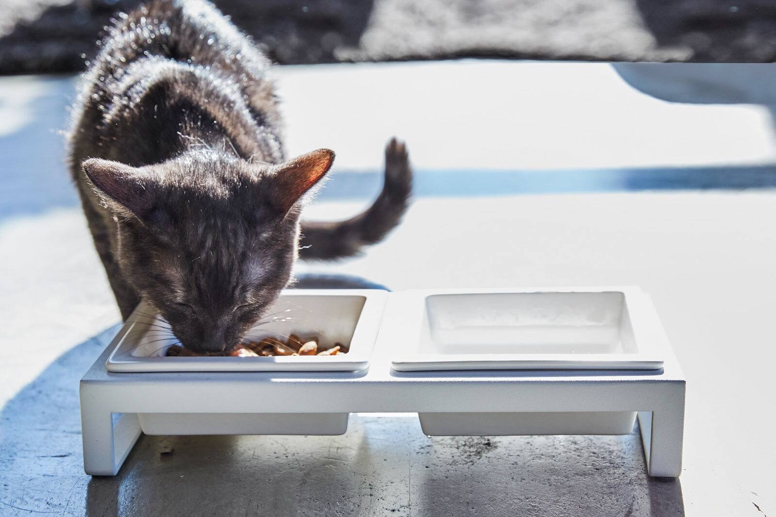Back. Yamazaki Home - Pet Food Bowl - Steel + Ceramic - White.