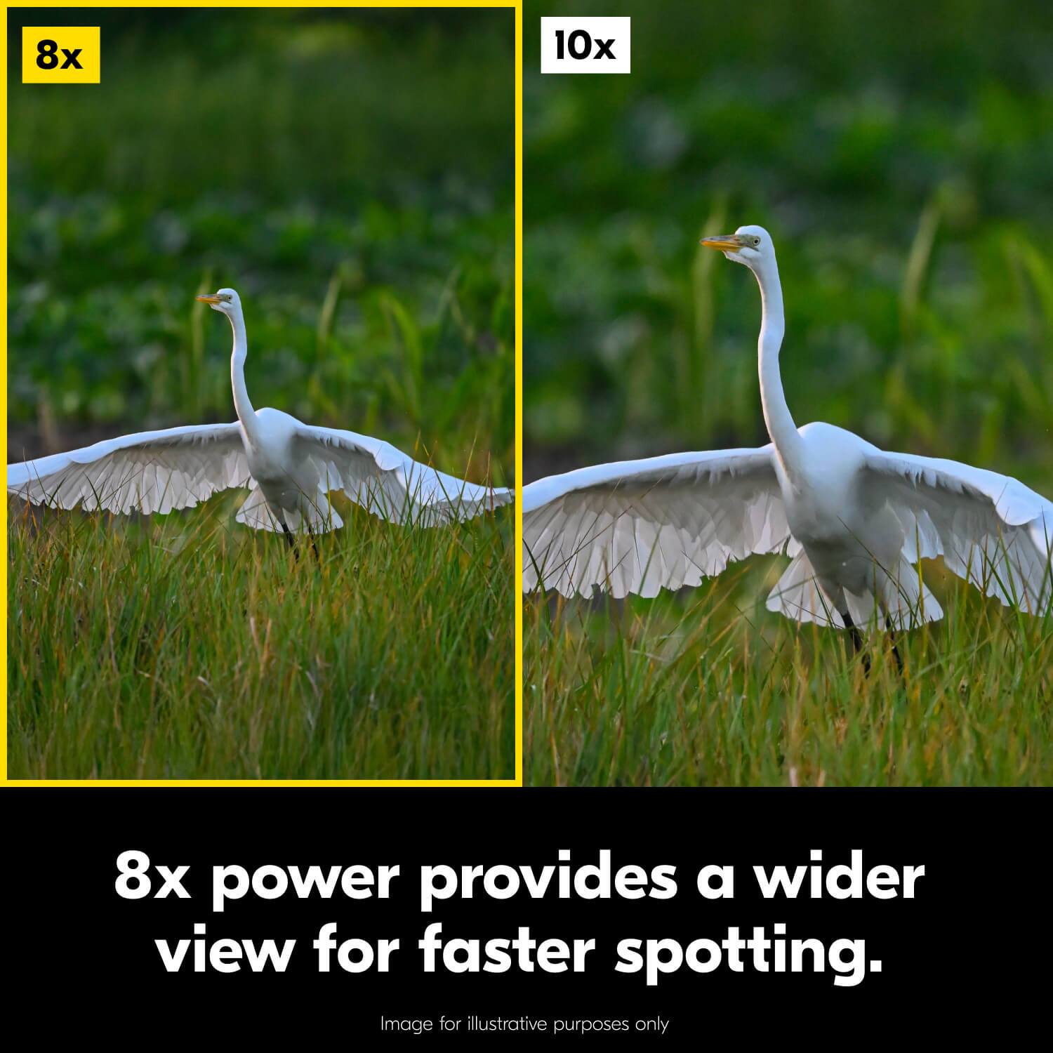 8x power provides a wider view for faster spotting.  
Image for illustrative purposes only