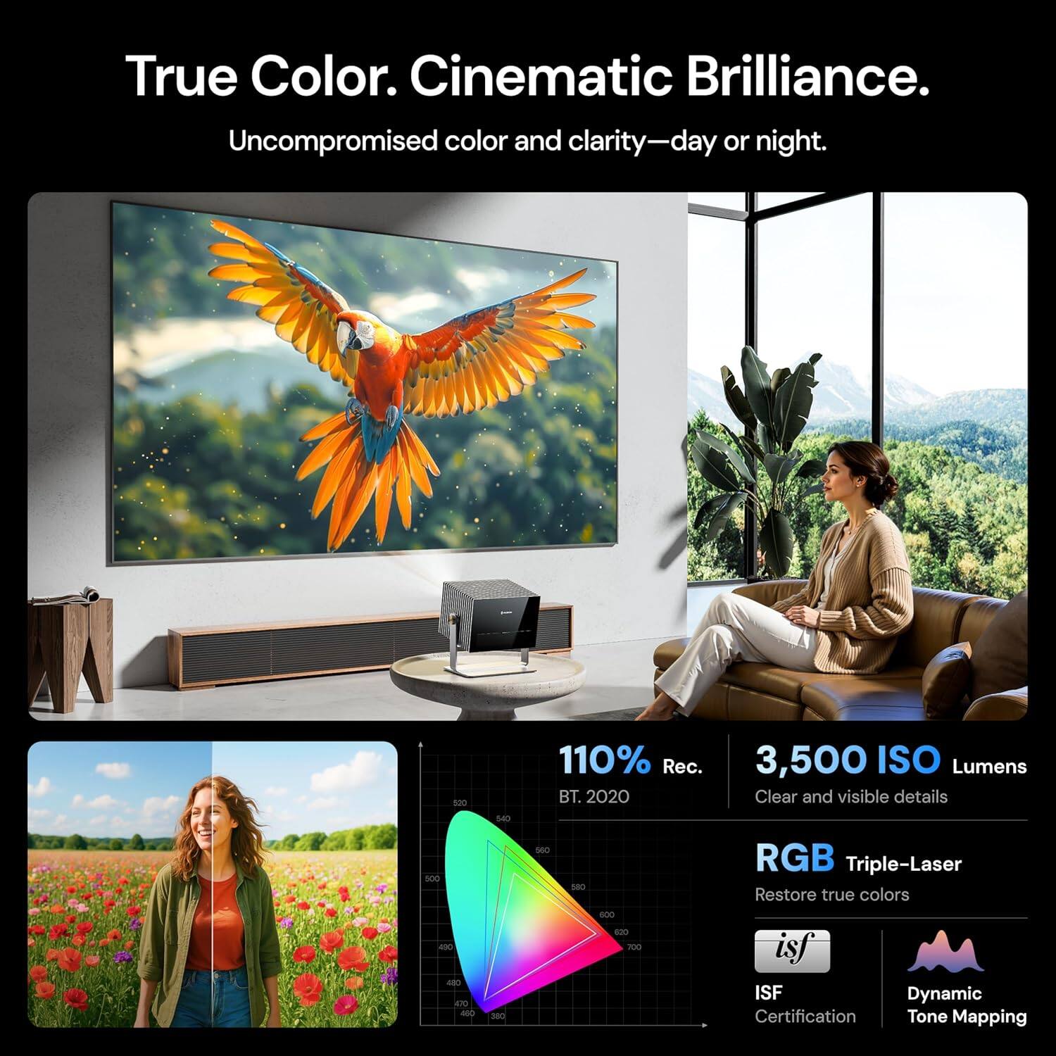 True Color. Cinematic Brilliance.  
Uncompromised color and clarity—day or night.

110% Rec. BT.2020  
3,500 ISO Lumens  
Clear and visible details  
RGB Triple-Laser  
Restore true colors  
ISF Dynamic Certification  
Tone Mapping