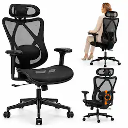 Forest'nSky - Ergonomic Office Chair with Adjustable Lumbar Support, Headrest - Black