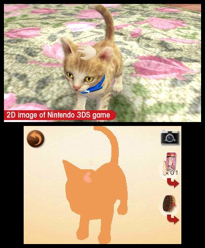 2D image of Nintendo 3DS game

x01