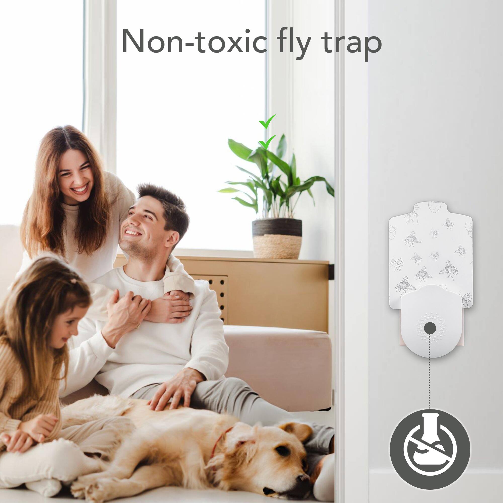 Non-toxic fly trap