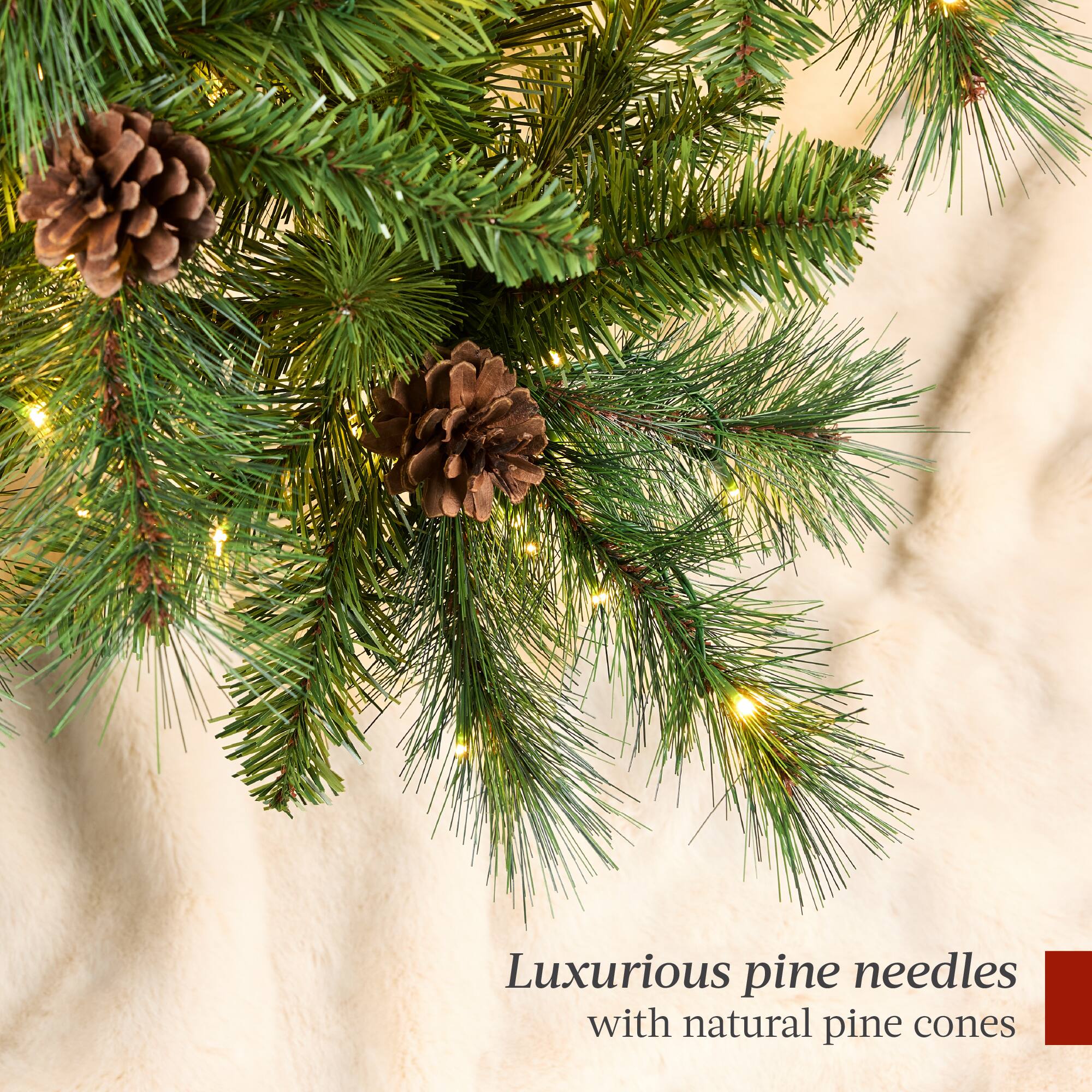 Luxurious pine needles with natural pine cones