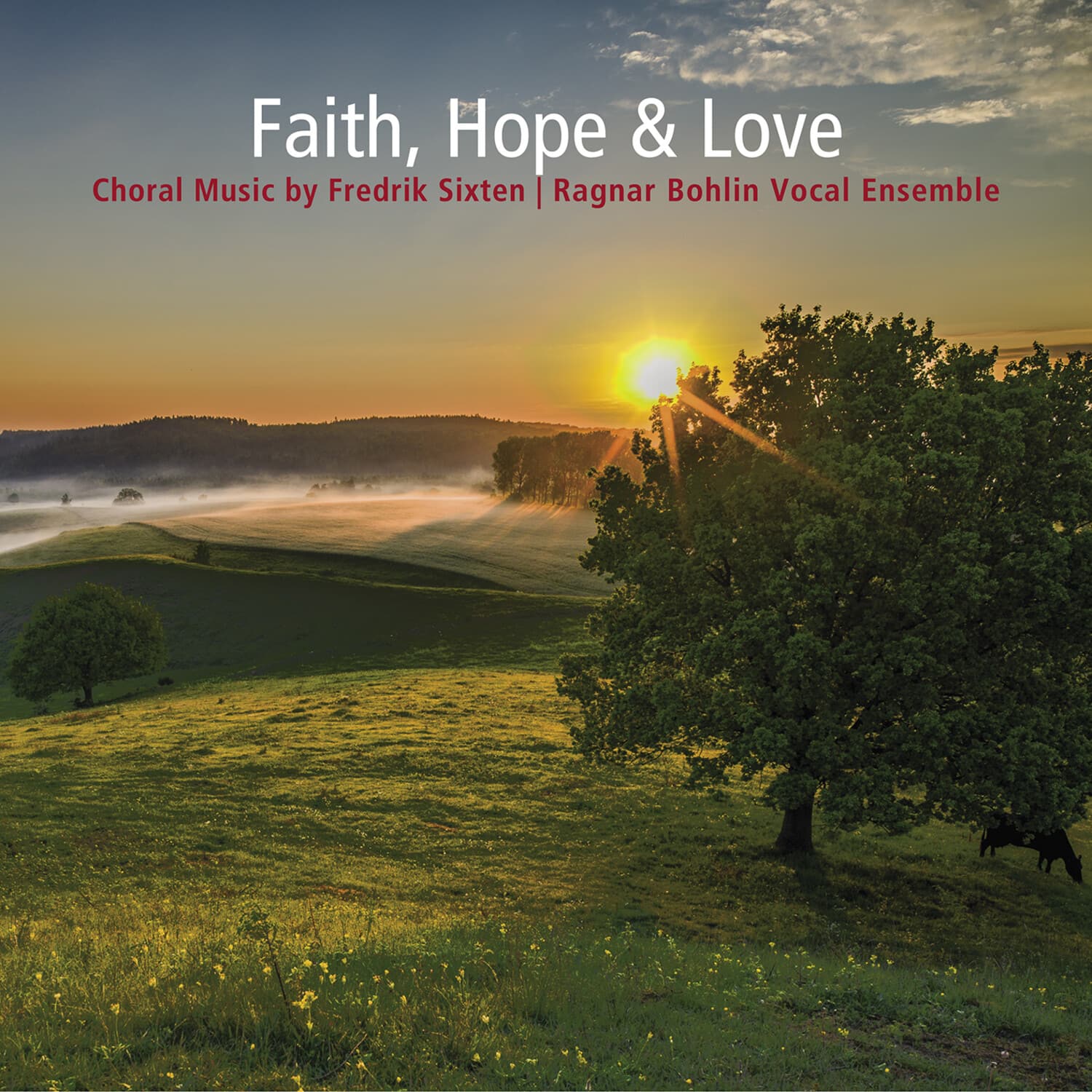 Ragnar Bohlin Vocal Ensemble - Faith Hope & Love - Choral Music By Fredrik Sixten   - COMPACT DISCS [CD] price history on PriceWatchPro