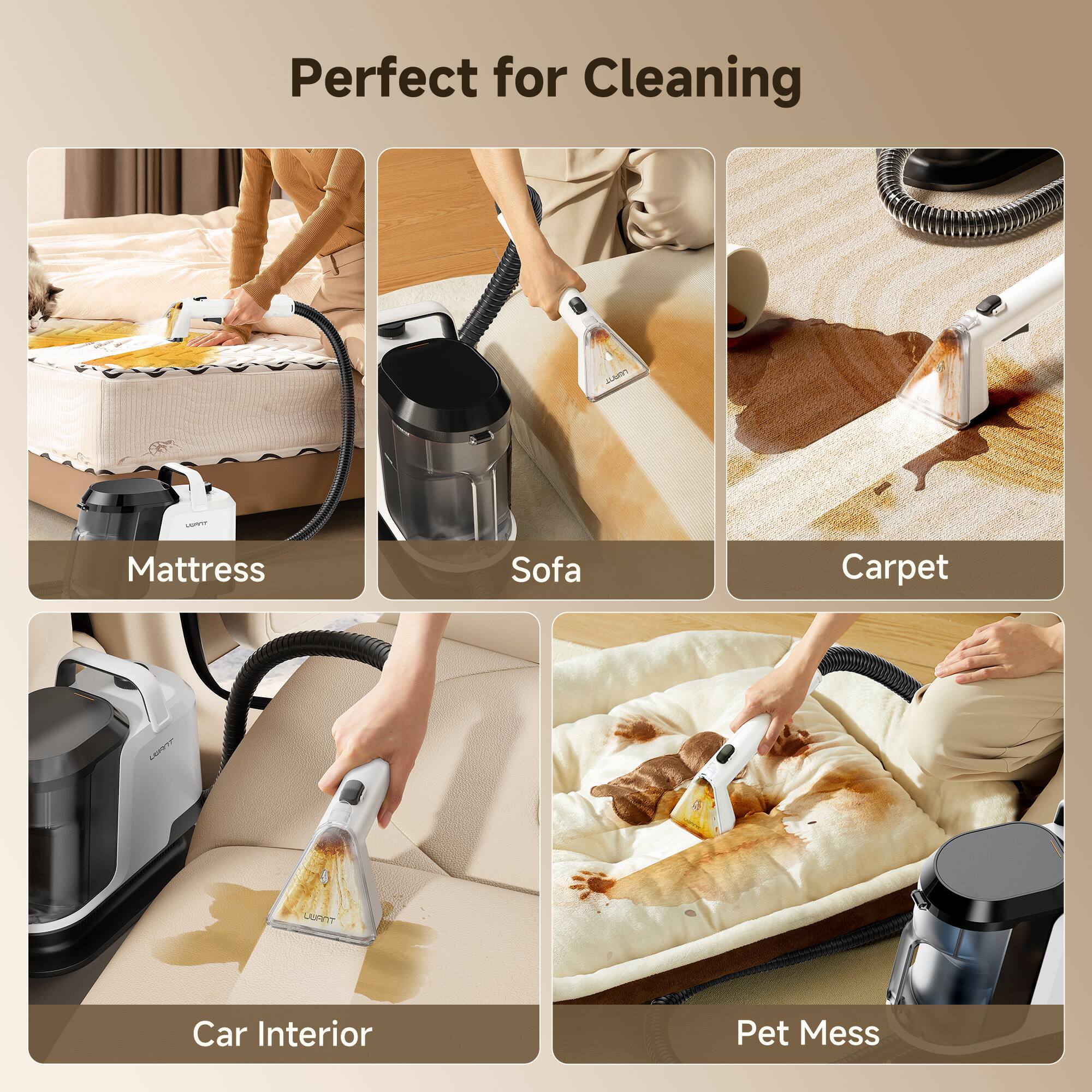 Perfect for Cleaning

- Mattress
- Sofa
- Carpet
- Car Interior
- Pet Mess