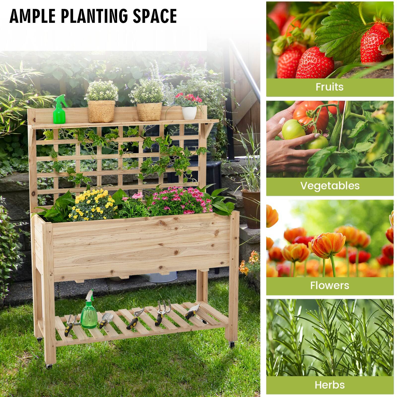 AMPLE PLANTING SPACE

- Fruits
- Vegetables
- Flowers
- Herbs