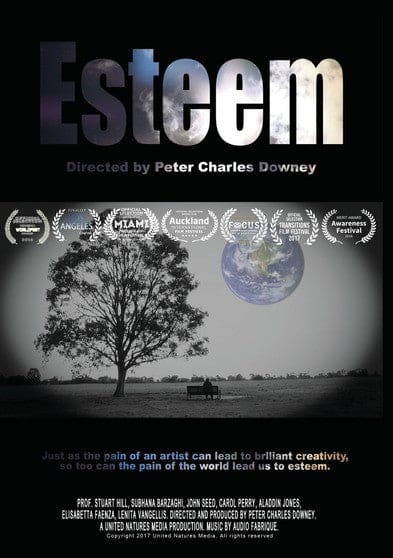 Esteem: The Power of Vulnerability (MOD) (DVD Movie) price history on PriceWatchPro