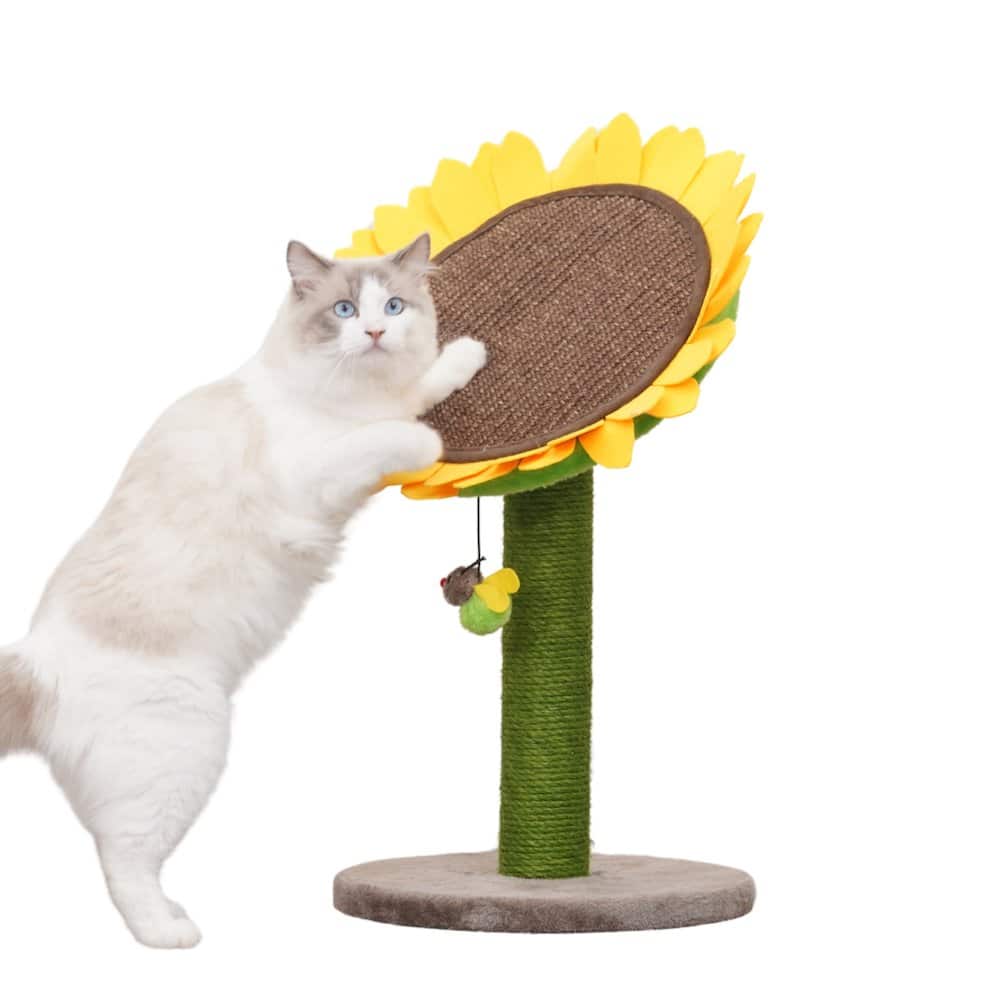 Catry - Sunflower 26" Cat Scratching Post with Replaceable Parts, Washable Beds - Green