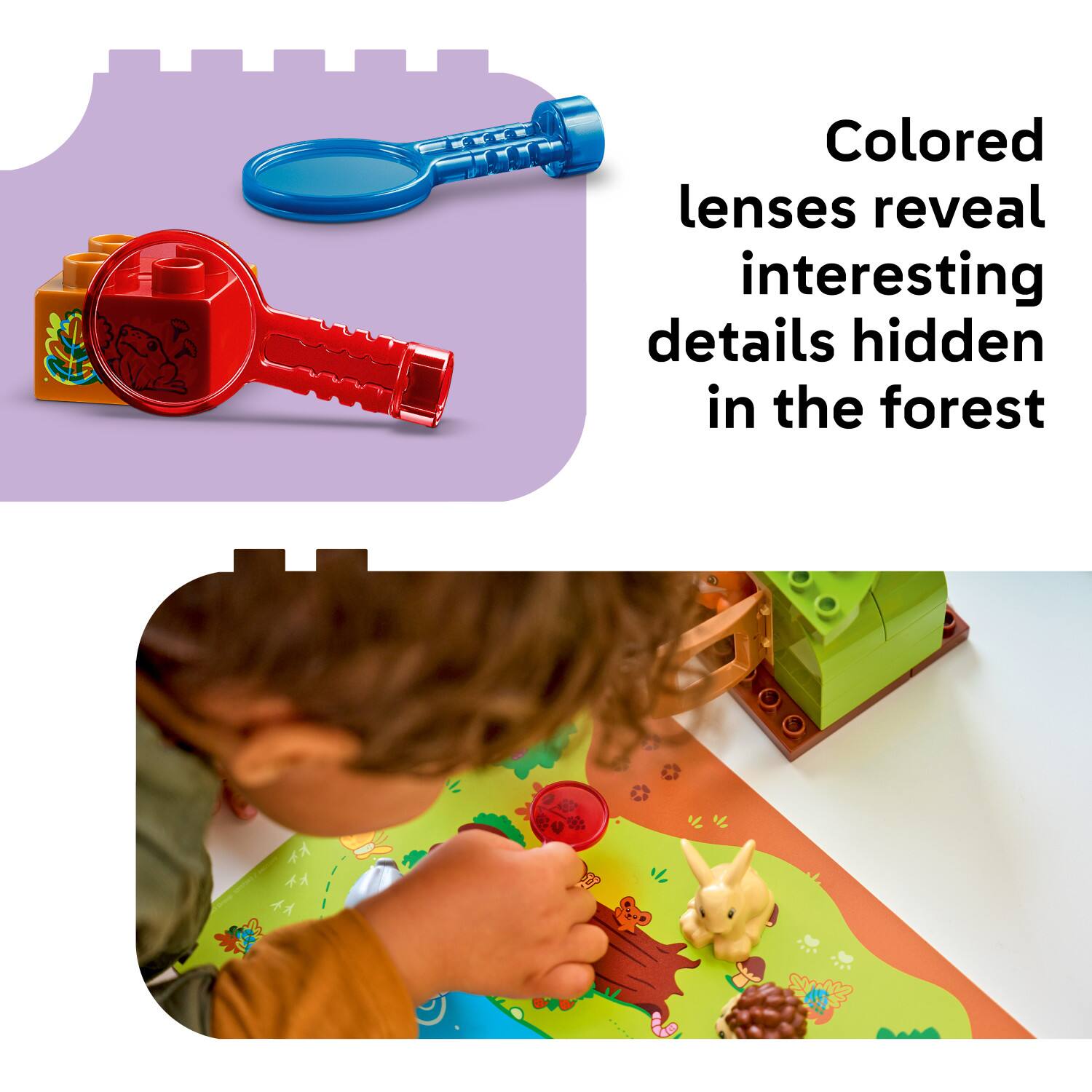 Colored lenses reveal interesting details hidden in the forest