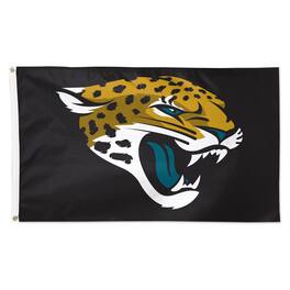 WinCraft - 3' x 5' Primary Logo Single-Sided Flag - Multicolor