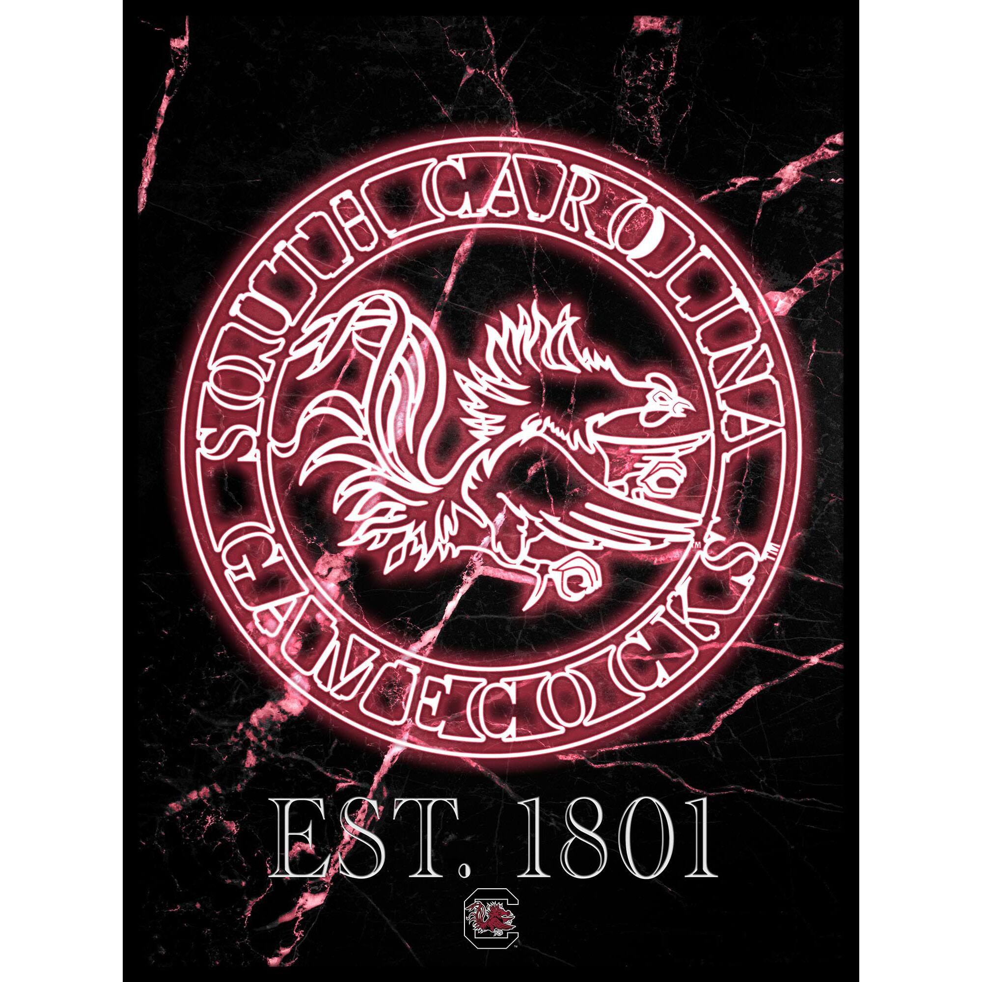 Black South Carolina Gamecocks 12'' x 16'' Framed Circle Logo Print