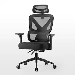 Eureka Ergonomic - Exis Ergonomic Mesh Office Chair with Adjustable Lumbar Support & Headrest - Black