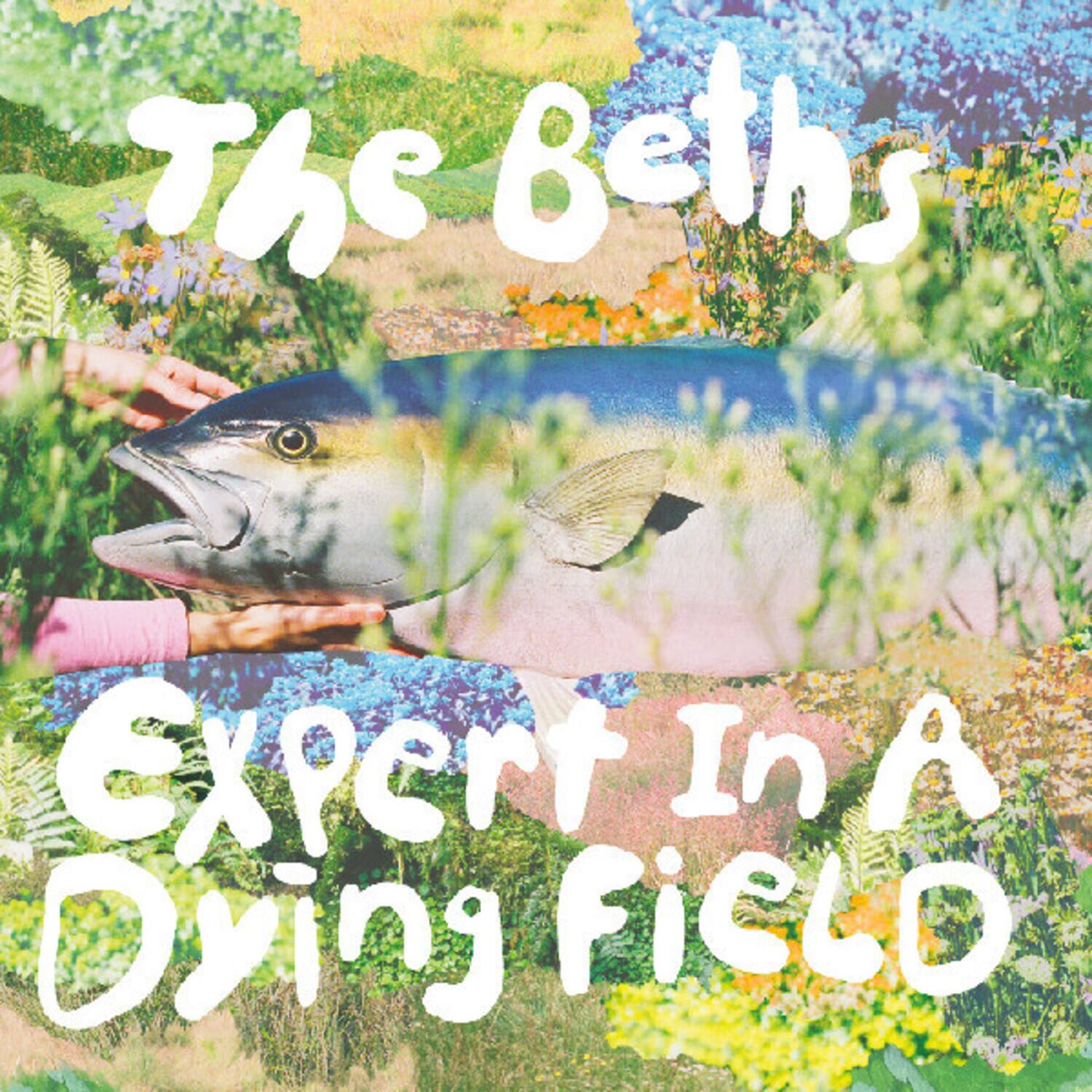 "The Beths - Expert in a dying field (""HEAD IN THE CLOUDS"" BLUE ECO-MIX VINYL)   - VINYL LP" price history on PriceWatchPro