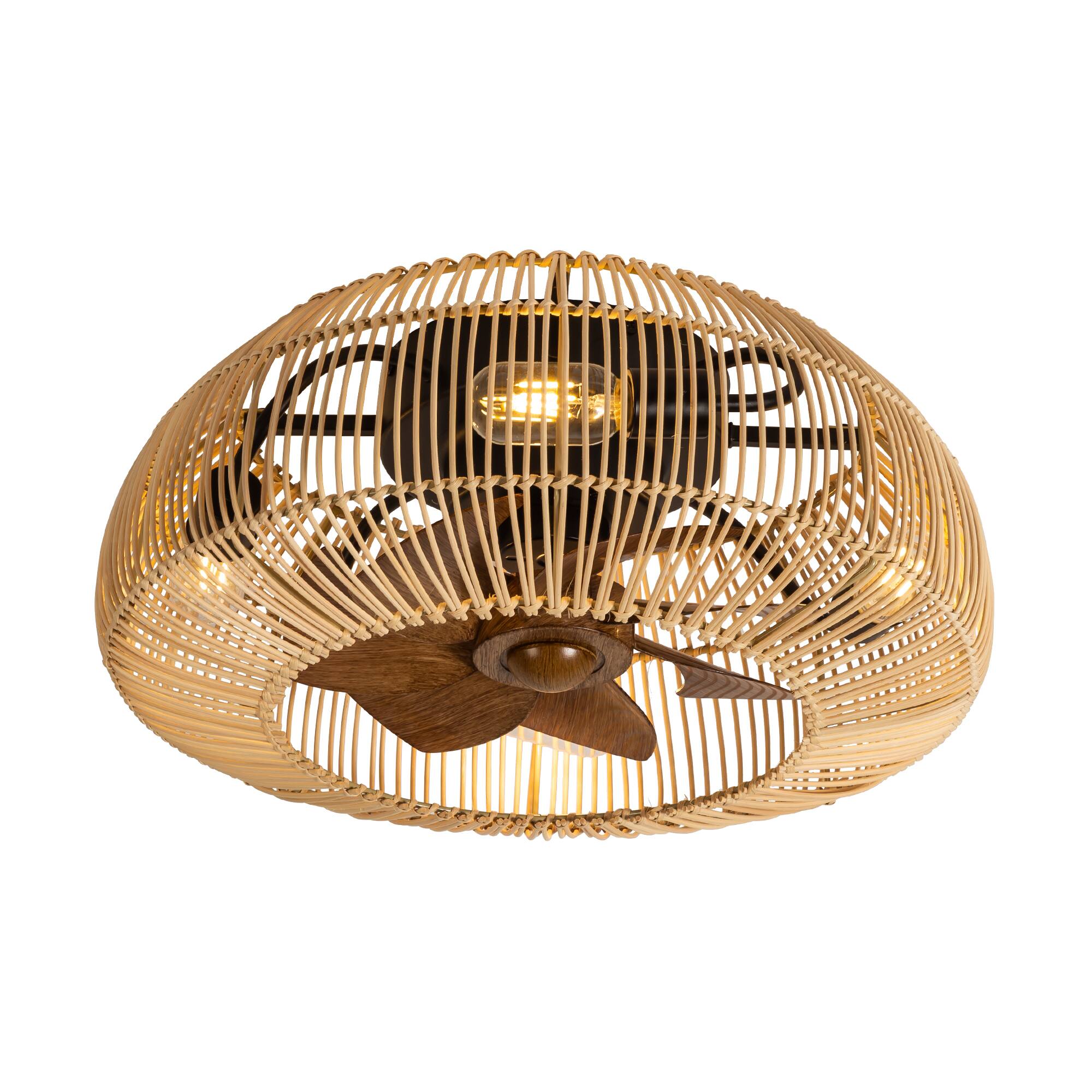 Angle. Breezary - 20'' Flush Mount Caged Ceiling Fan with 7 ABS Blades, 6-Speed DC Motor,  Remote Control with Memory Function - Brushed Nickel.