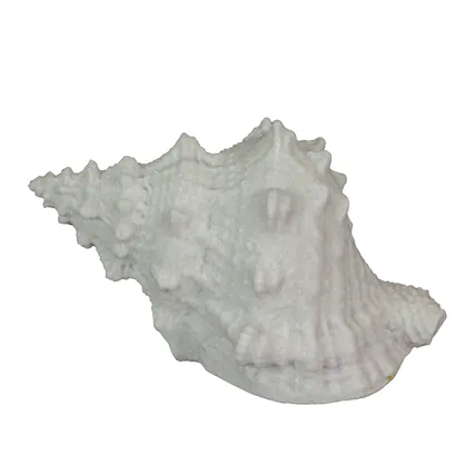 Front. Contrast Inc. - 8 Inch Resin LED Frog Conch Shell Accent Lamp Decorative Sea Table Light Nautical Home Decor - White.