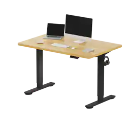 FlexiSpot - E2 48''W x 30''D Electric Adjustable Standing Desk Chipboard, /Black - Maple