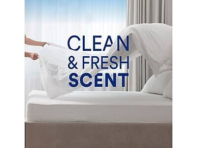 CLEAN & FRESH SCENT