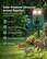Solar-Powered Ultrasonic Animal Repeller
Protect your Outdoors with Reliable Animal
- PIR Sensor
- Ultrasonic Repelling
- LED Light Repelling
- Solar-Powered Charging
- IP65 Rated