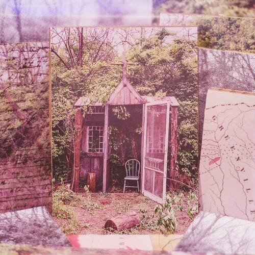 Carolina Confessions [LP] - VINYL